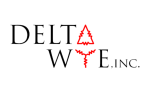 Delta Wye, Inc.