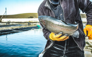 FISH HATCHERY WORKER